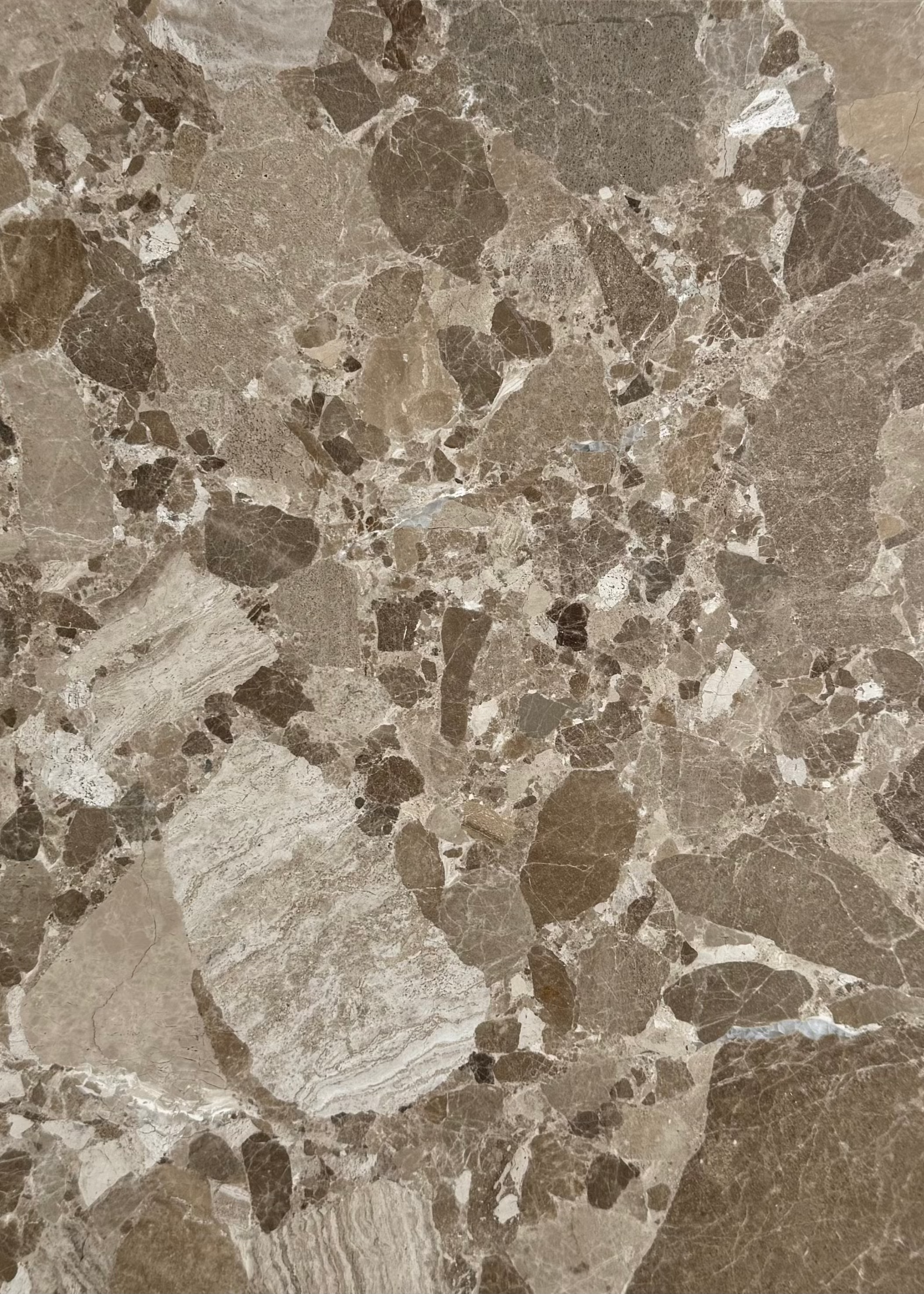 Stone sample Konkylie | Marrone marble